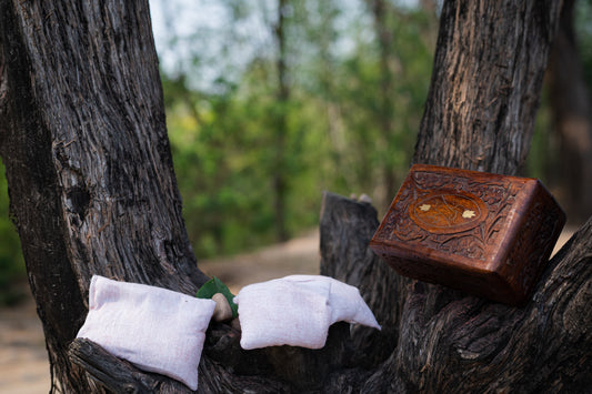 Why Businesses Trust Yogini Siddhi